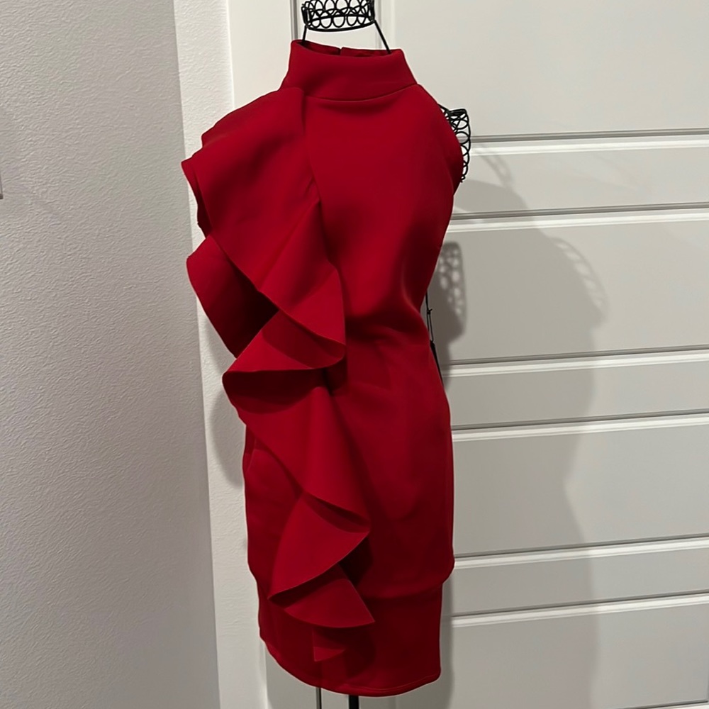 BNWT Red Backless Dress